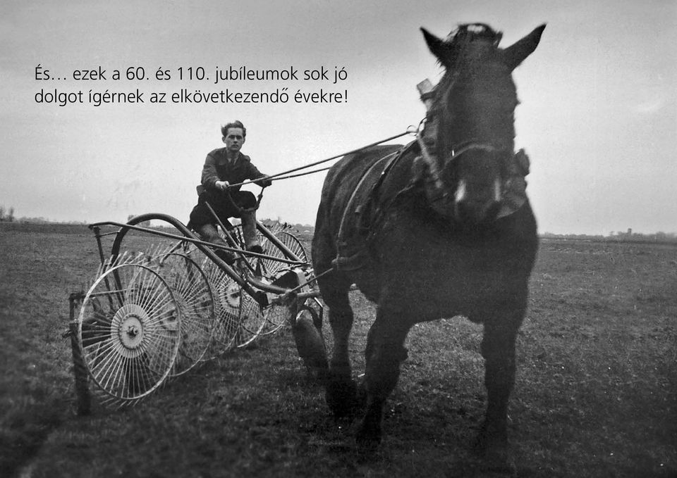 jubíleumok sok jó