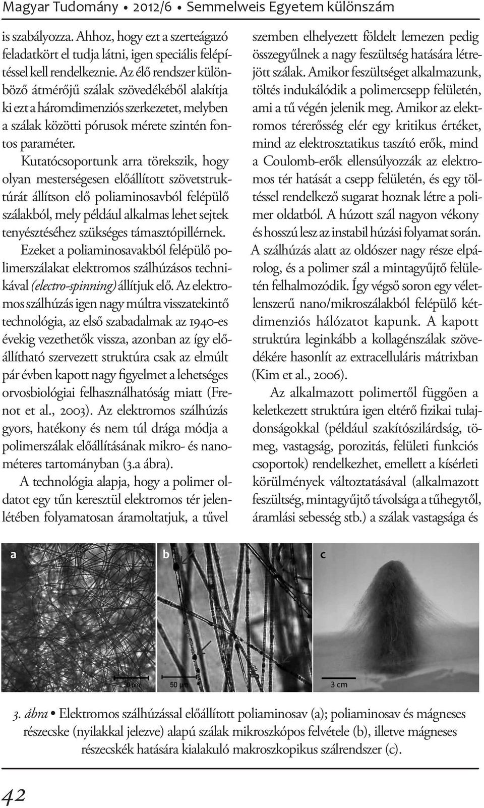 Kutatócsoportunk arra törekszik, hogy olyan mesterségesen előállított szövetstruktúrát állítson elő poliaminosavból felépülő szálakból, mely például alkalmas lehet sejtek tenyésztéséhez szükséges