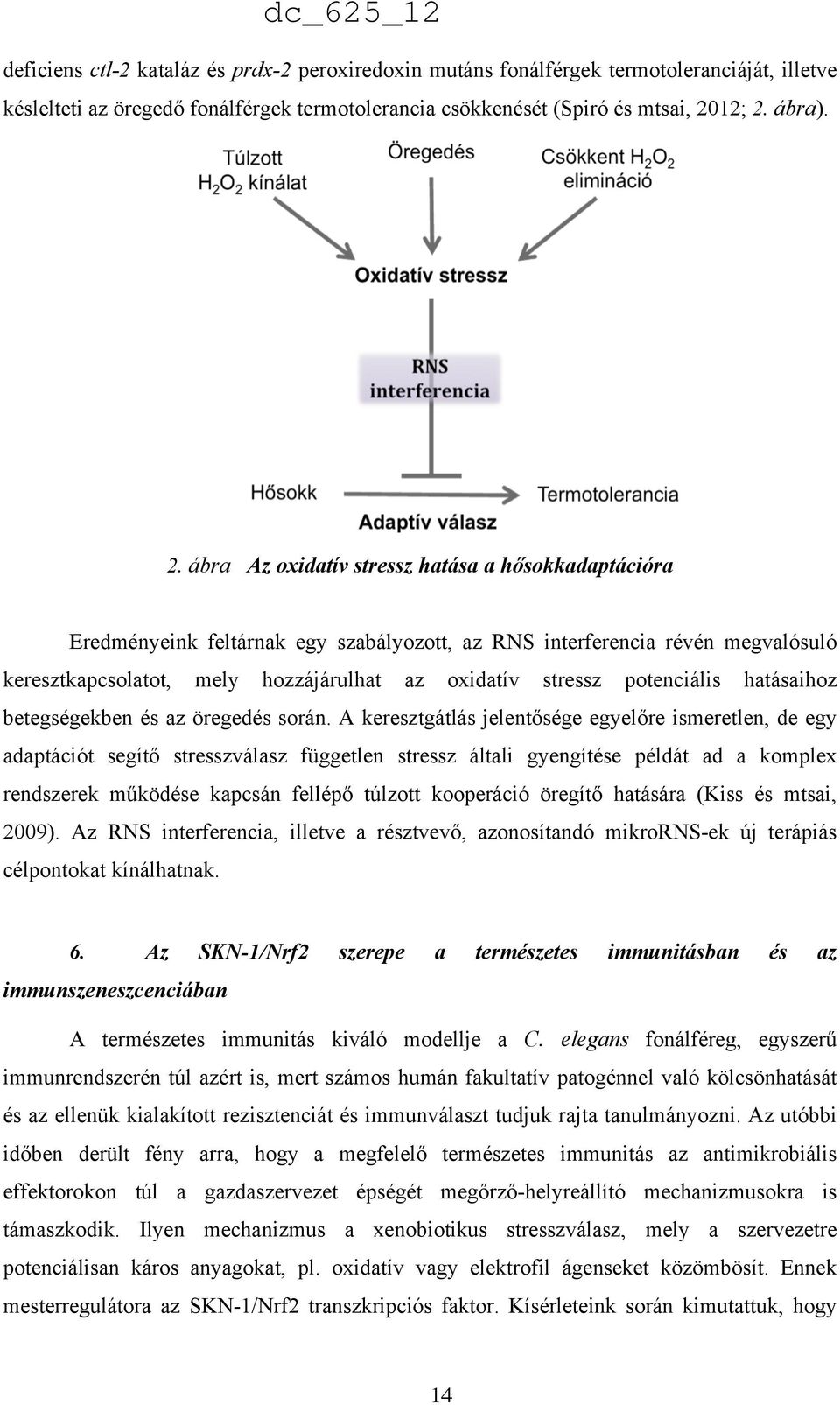 ábra). 2.