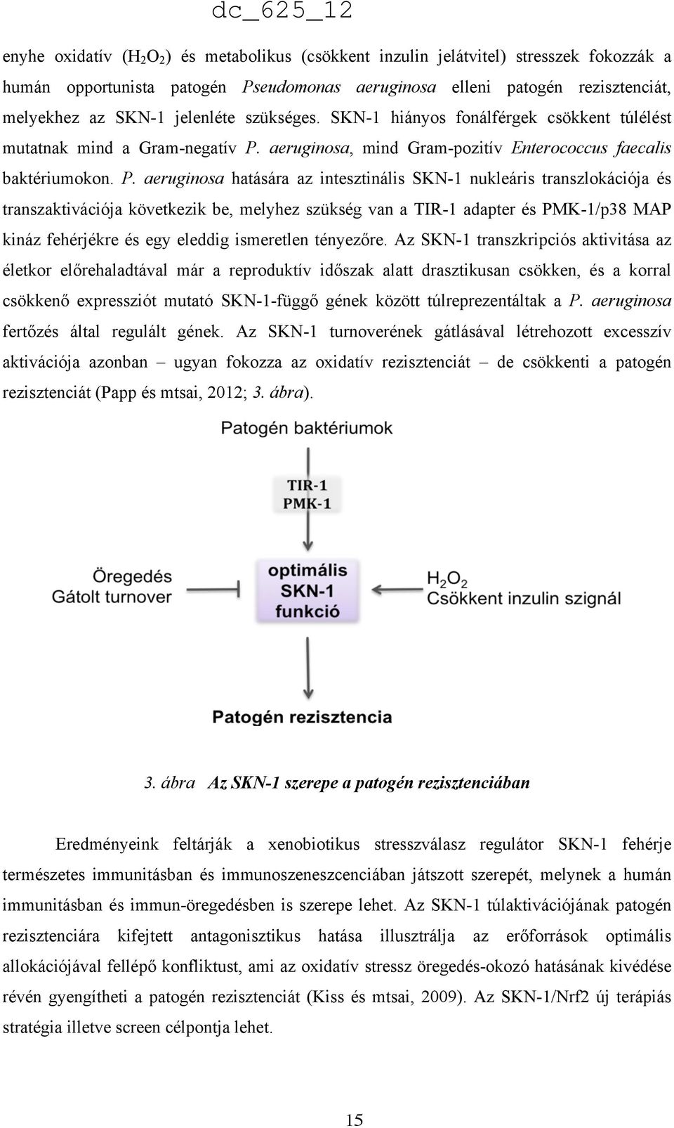 aeruginosa, mind Gram-pozitív Enterococcus faecalis baktériumokon. P.