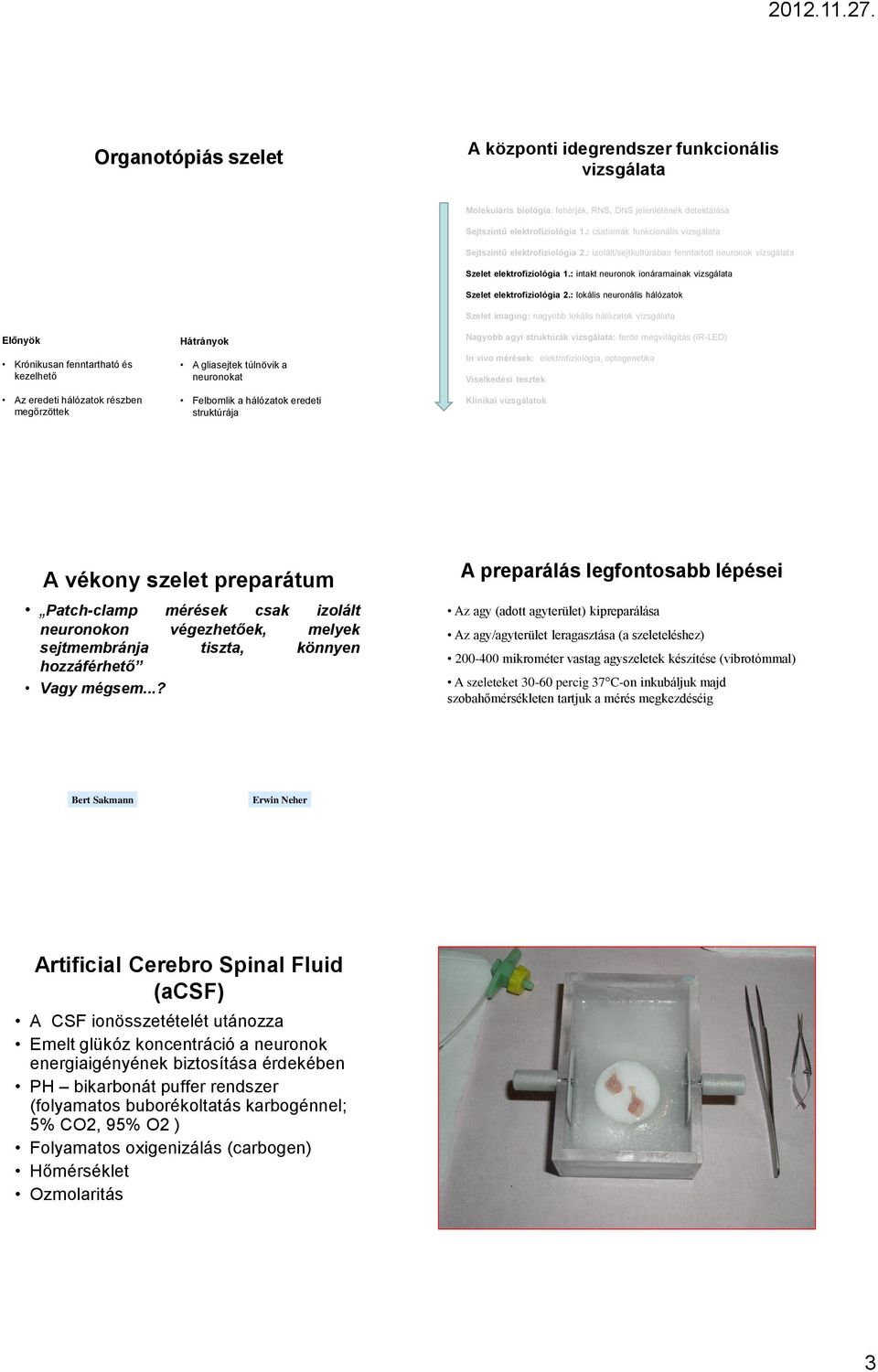 : intakt neuronok ionáramainak Szelet imaging: nagyobb lokális hálózatok Nagyobb agyi struktúrák : ferde megvilágítás (IR-LED) A vékony szelet preparátum Patch-clamp mérések csak izolált neuronokon