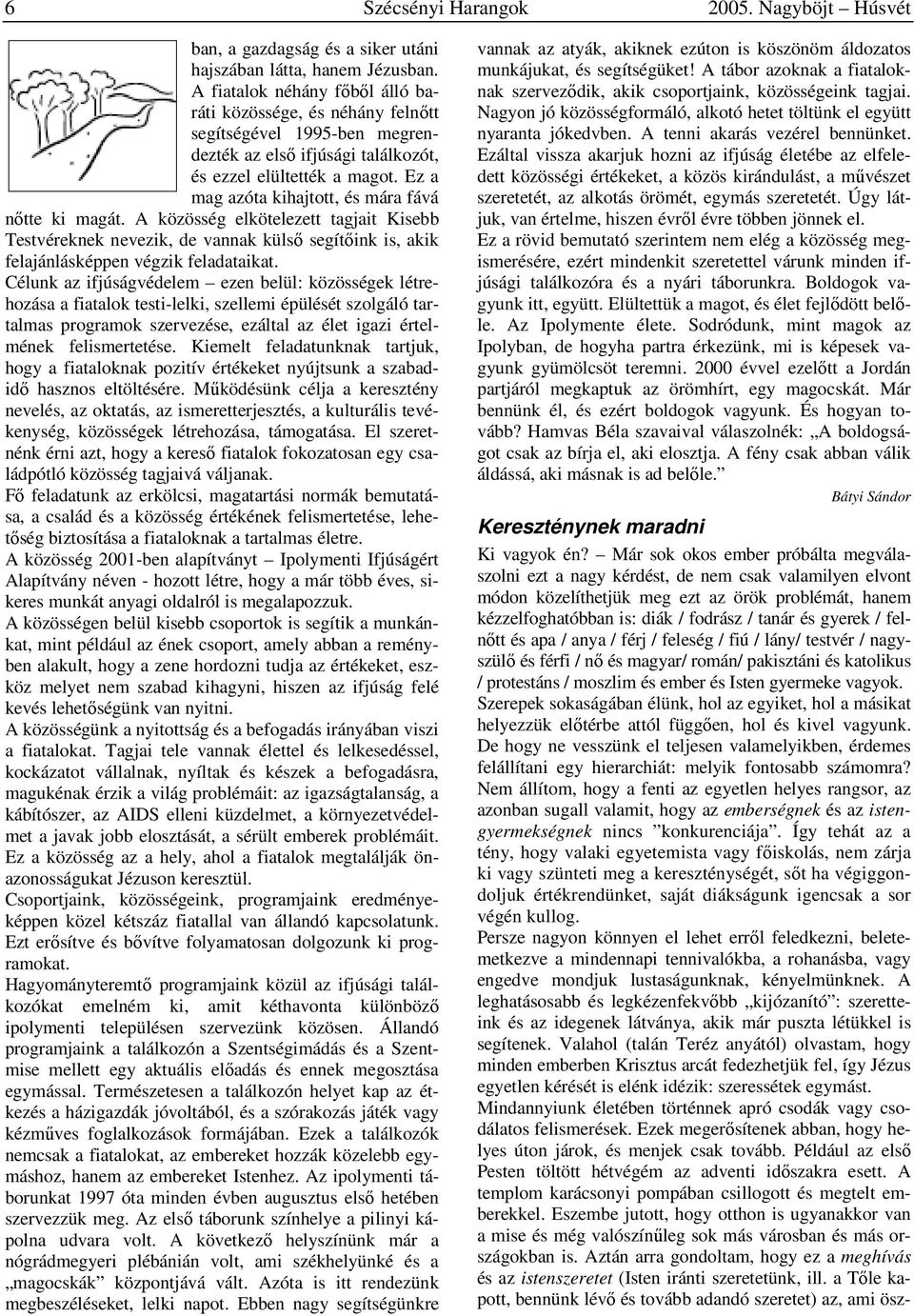 Ez a mag azóta kihajtott, és mára fává nőtte ki magát. A közösség elkötelezett tagjait Kisebb Testvéreknek nevezik, de vannak külső segítőink is, akik felajánlásképpen végzik feladataikat.