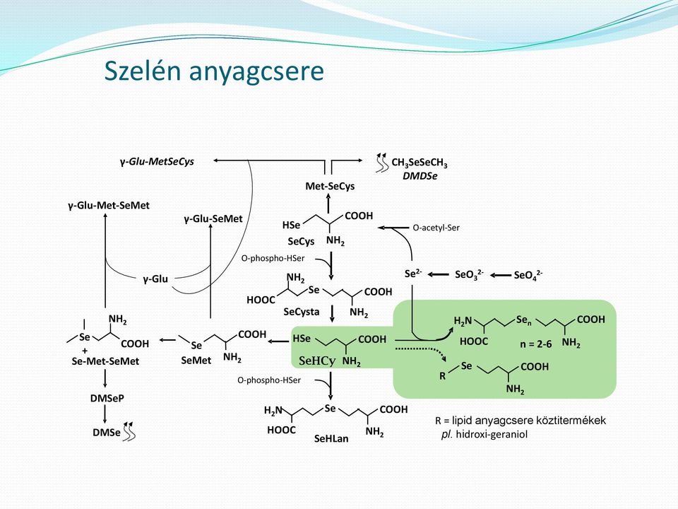 Met-Cys HCy HLan CH 3 CH 3 DMD O-acetyl-r 2- O 2- O 2-3 4 R H 2 N n