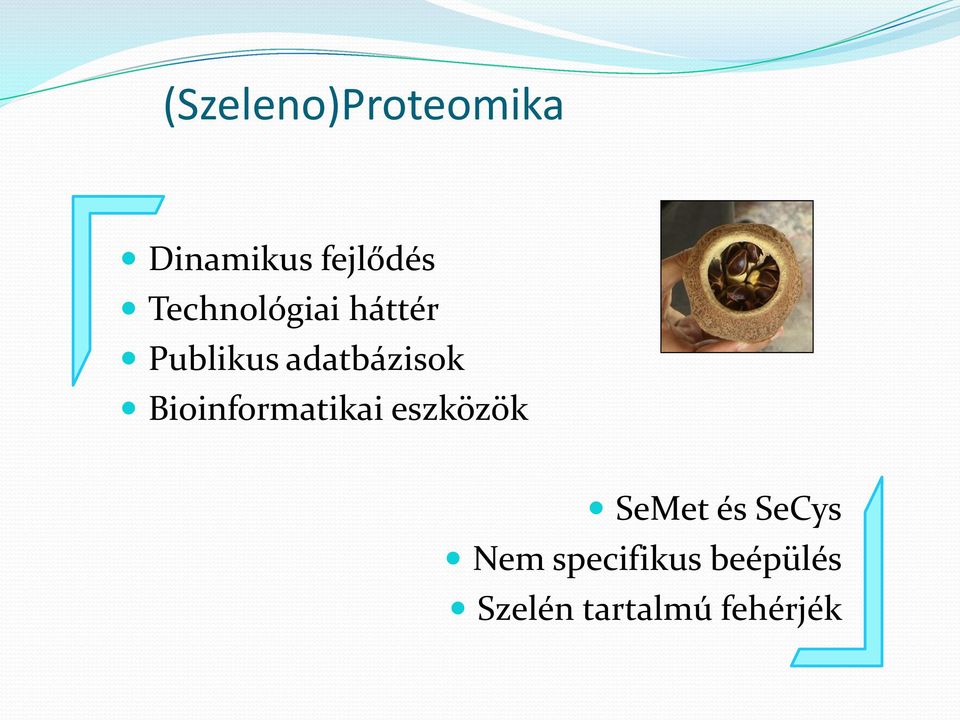 Bioinformatikai eszközök Met és Cys Nem