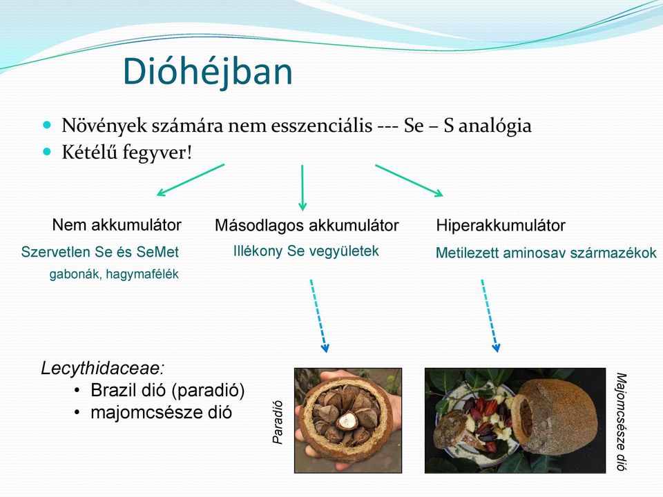 Nem akkumulátor Másodlagos akkumulátor Hiperakkumulátor Szervetlen és Met