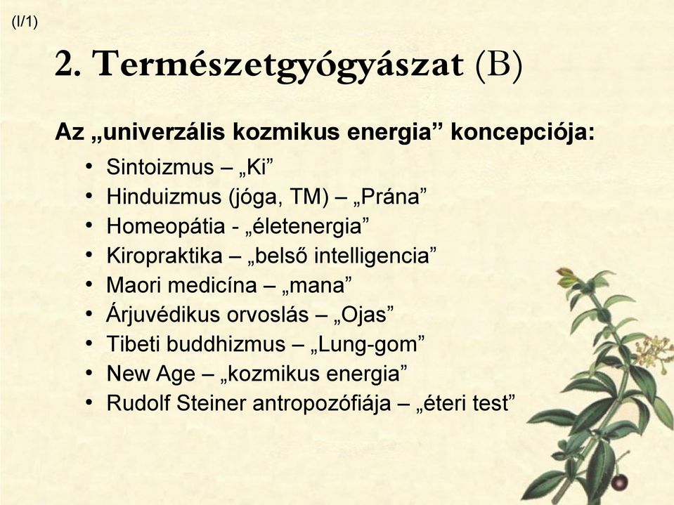 Sintoizmus Ki Hinduizmus (jóga, TM) Prána Homeopátia - életenergia