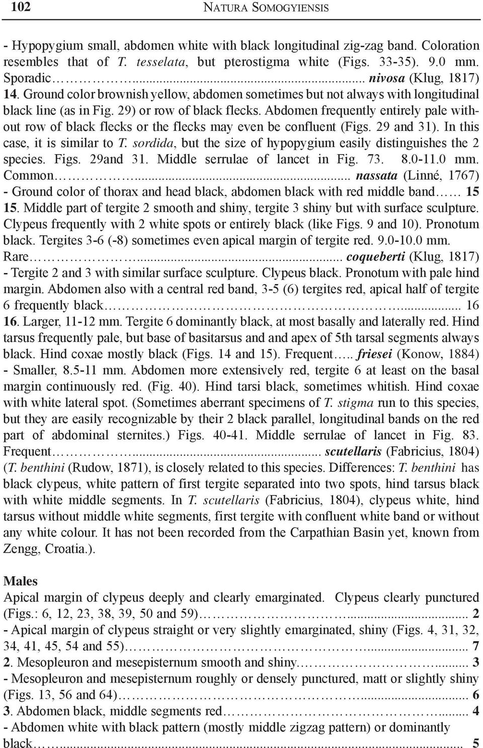 Abdomen frequently entirely pale without row of black flecks or the flecks may even be confluent (Figs. 29 and 31). In this case, it is similar to T.