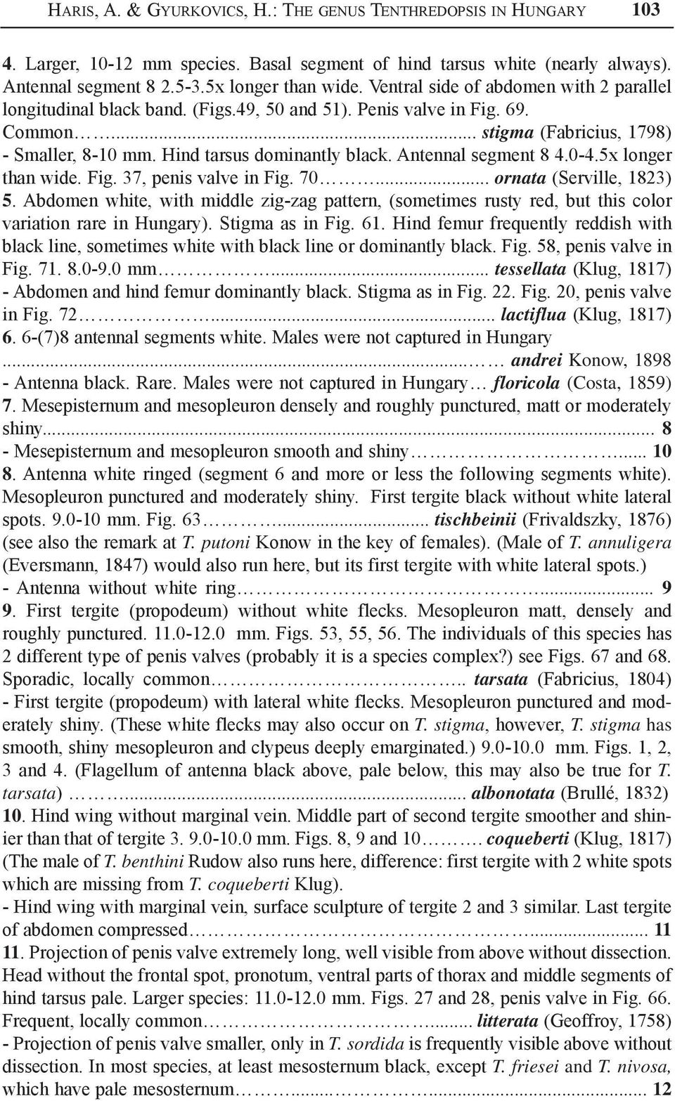 Antennal segment 8 4.0-4.5x longer than wide. Fig. 37, penis valve in Fig. 70... ornata (Serville, 1823) 5.