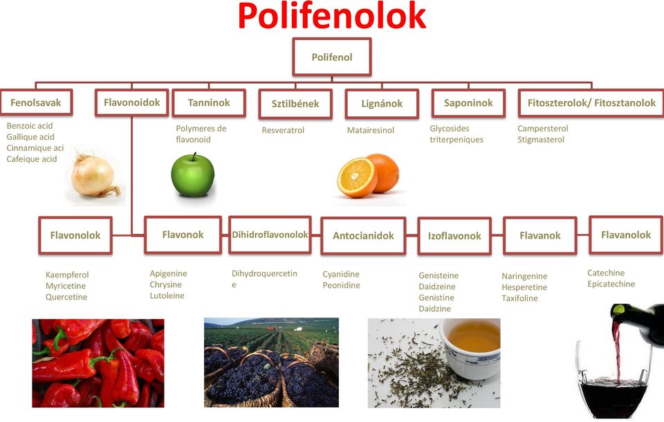 Flavonolok Flavonok Dihidroflavonolok Antocianidok Izoflavonok Flavanok Flavanolok Kaempferol Myricetine Quercetine Apigenine Chrysine