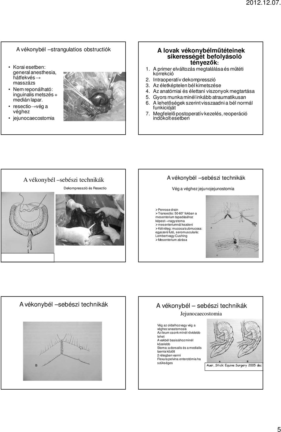 Az életképtelen bél kimetszése 4. Az anatómiai és élettani viszonyok megtartása 5. Gyors munka minél inkább atraumatikusan 6. A lehetıségek szerint visszaadni a bél normál funkicióját 7.