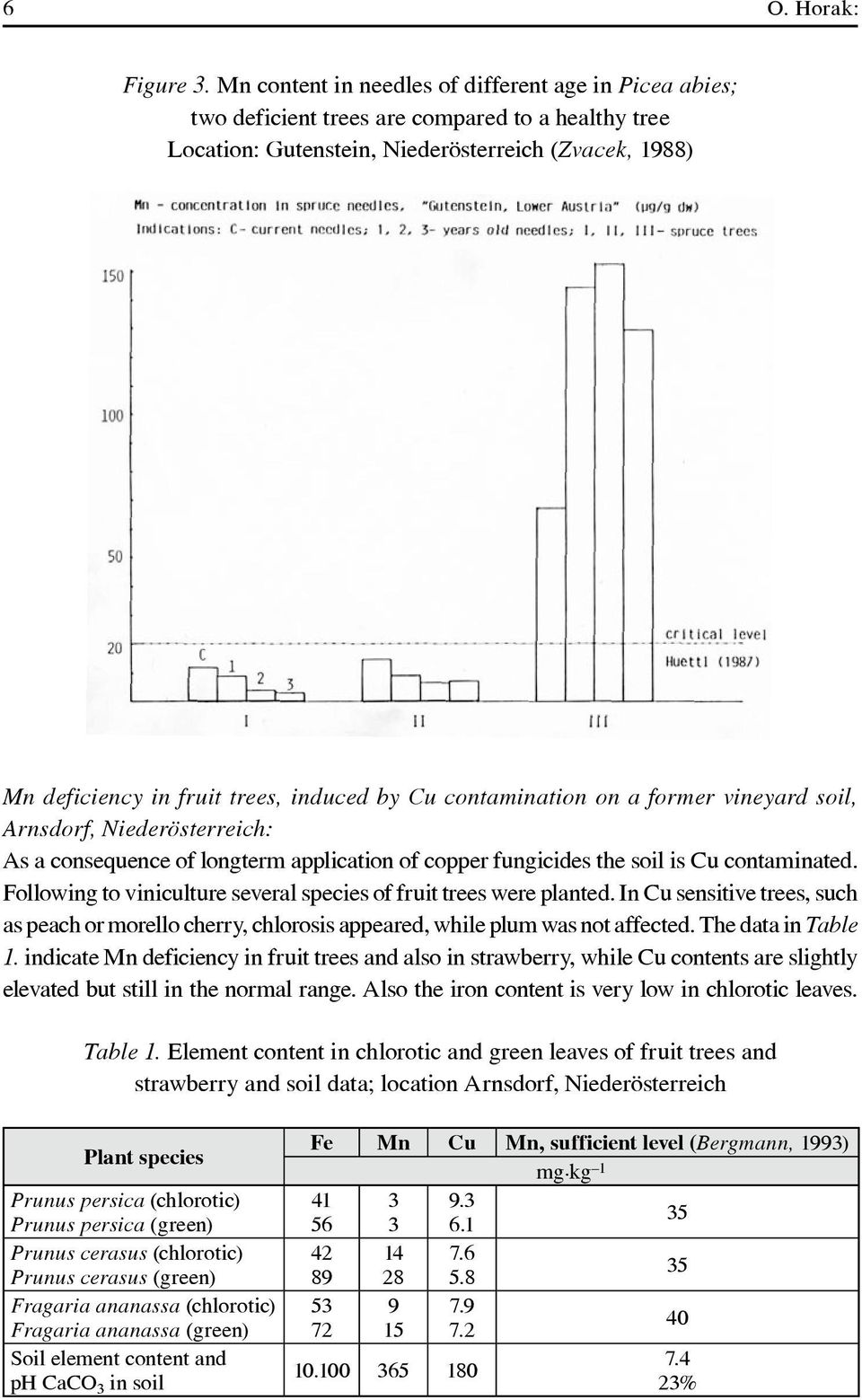 by Cu contamination on a former vineyard soil, Arnsdorf, Niederösterreich: As a consequence of longterm application of copper fungicides the soil is Cu contaminated.