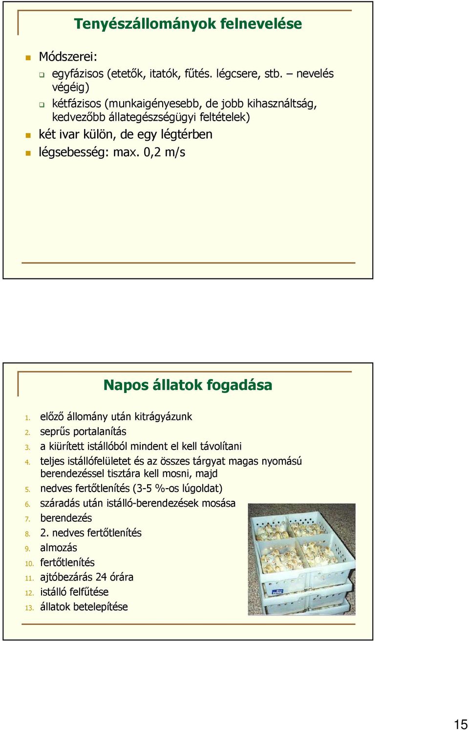 0,2 m/s Napos állatok fogadása 1. előző állomány után kitrágyázunk 2. seprűs portalanítás 3. a kiürített istállóból mindent el kell távolítani 4.