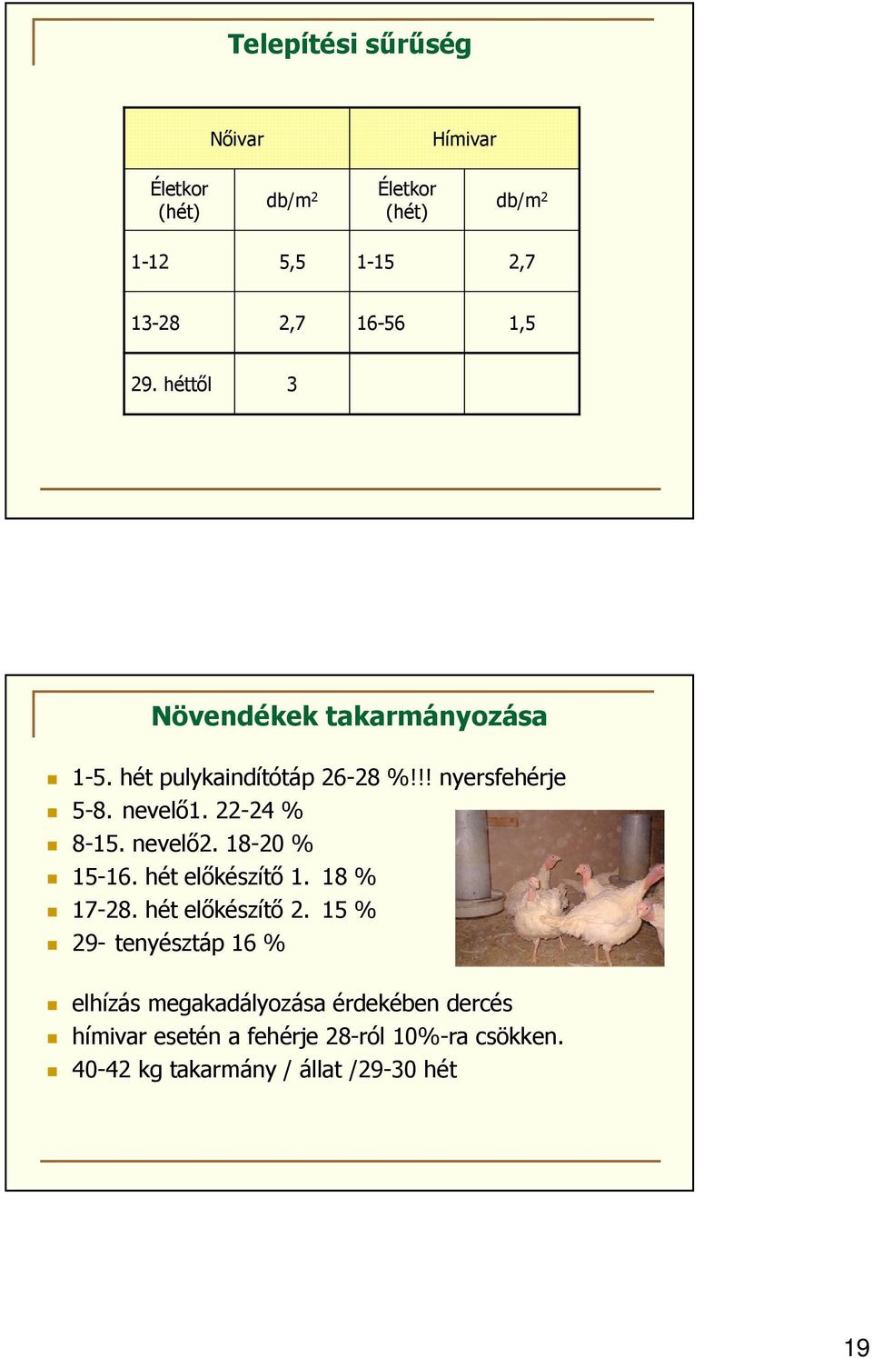 22-24 % 8-15. nevelő2. 18-20 % 15-16. hét előkészítő 1. 18 % 17-28. hét előkészítő 2.