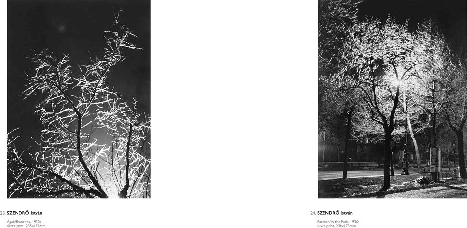 SZENDRÔ István Parkban/In the