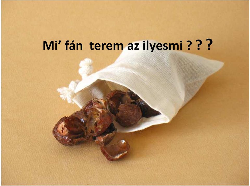 ilyesmi?