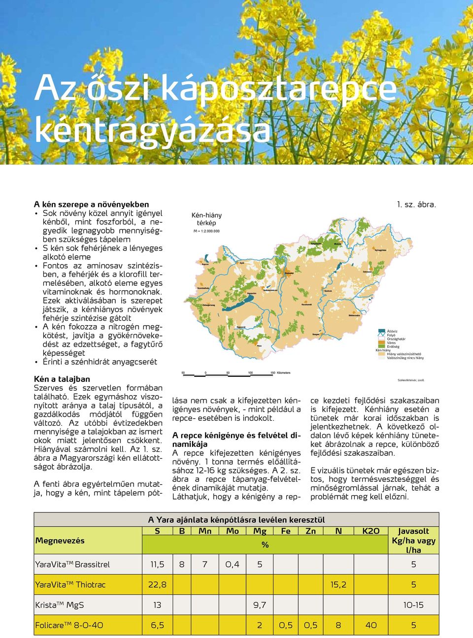 Ezek aktiválásában is szerepet játszik, a kénhiányos növények fehérje szintézise gátolt A kén fokozza a nitrogén megkötést, javítja a gyökérnövekedést az edzettséget, a fagytűrő képességet Érinti a