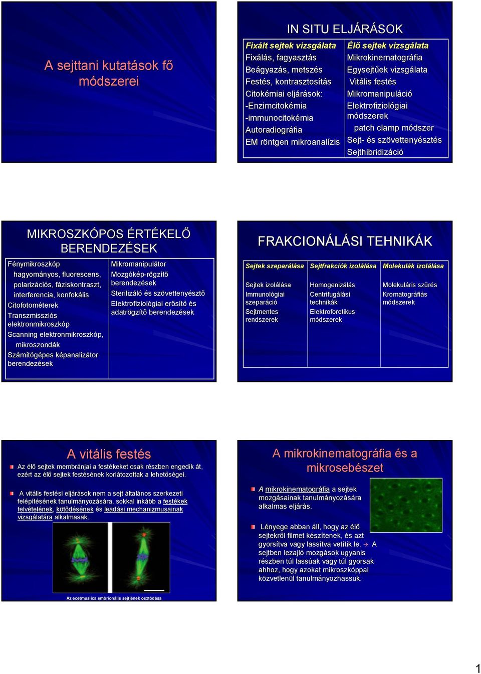clamp módszer Sejt- és s szövetteny vettenyésztés Sejthibridizáci ció MIKROSZKÓPOS ÉRTÉKELŐ BERENDEZÉSEK Fénymikroszkóp hagyományos, fluorescens, polarizáci ciós, fáziskontraszt, f interferencia,
