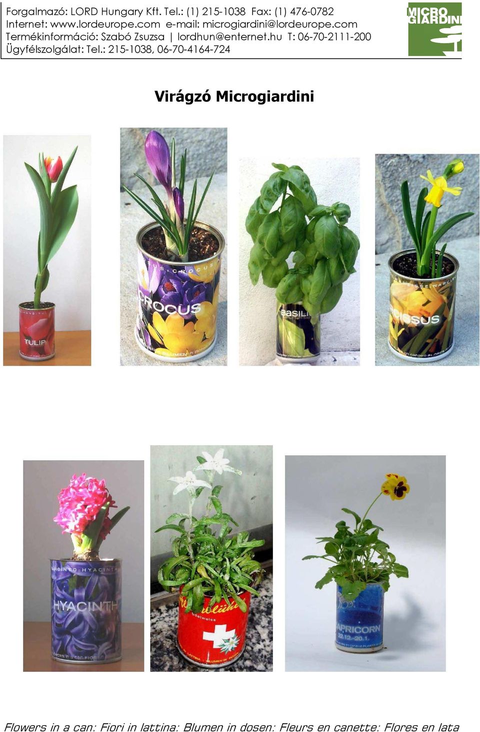 Flowers in a can: Fiori in lattina: Blumen in dosen: Fleurs en canette:  Flores en lata - PDF Ingyenes letöltés