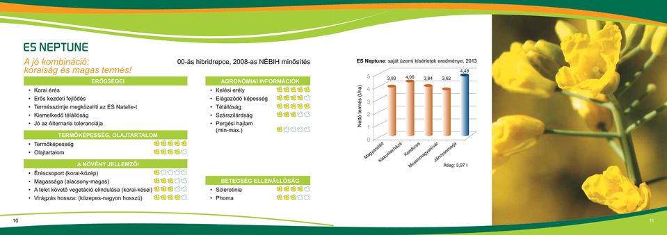 Jó az Alternaria toleranciája TERMÔKÉPSÉG, OLAJTARTALOM -ás hibridrepce, 28-as Nébih minôsítés