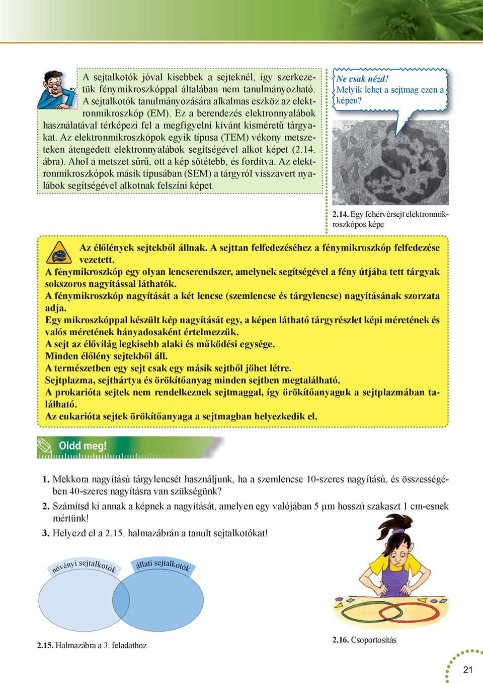 Az elektronmikroszkópok egyik típusa (TEM) vékony metszeteken átengedett elektronnyalábok segítségével alkot t (2.14. ábra). Ahol a metszet sűrű, ott a kép sötétebb, és fordítva.