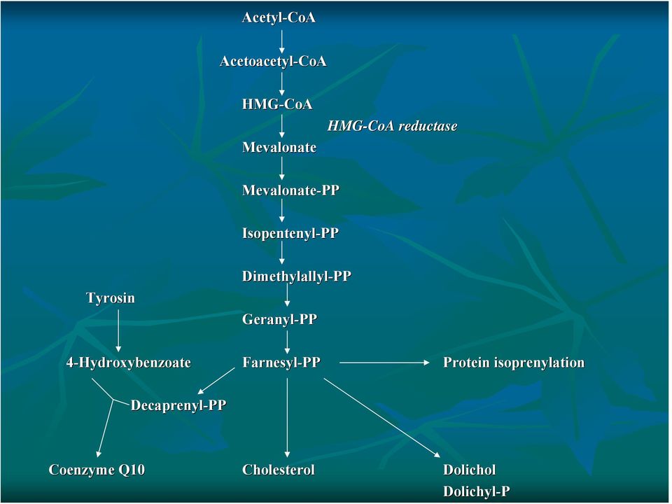 Dimethylallyl-PP Geranyl-PP 4-Hydroxybenzoate Farnesyl-PP