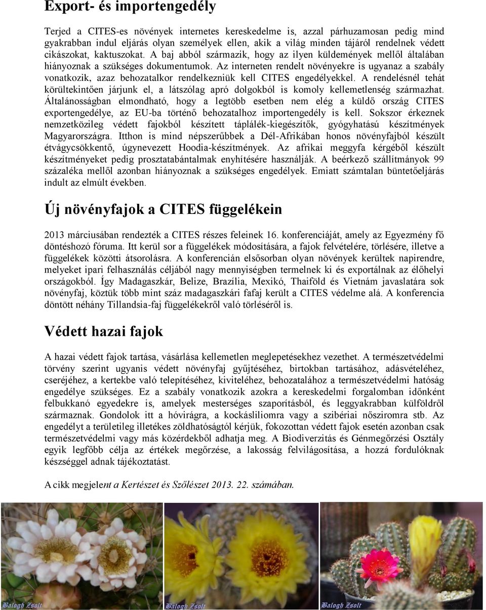 Az interneten rendelt növényekre is ugyanaz a szabály vonatkozik, azaz behozatalkor rendelkezniük kell CITES engedélyekkel.