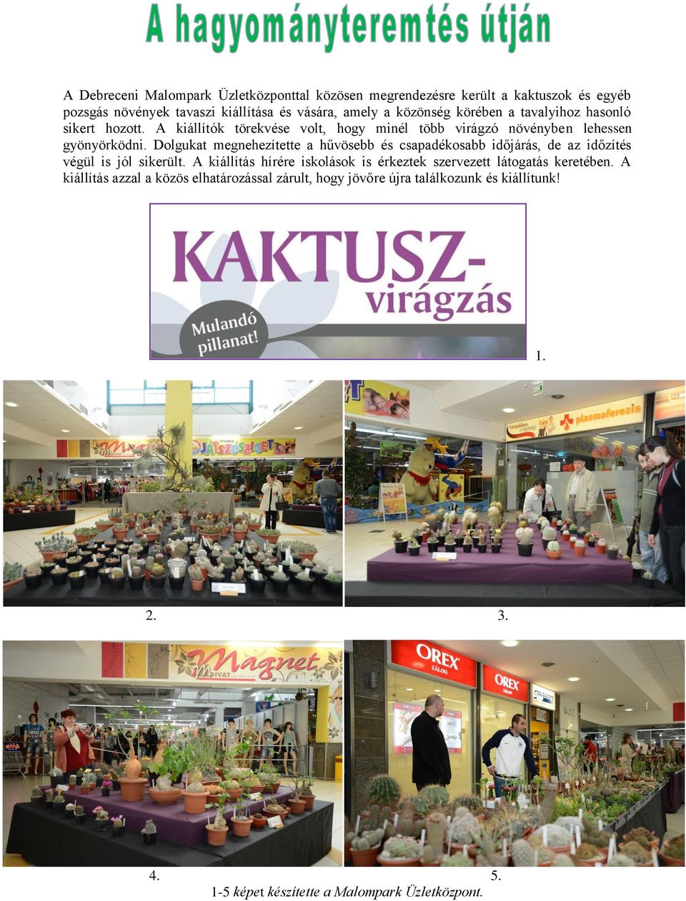 Dolgukat megnehezítette a hűvösebb és csapadékosabb időjárás, de az időzítés végül is jól sikerült.