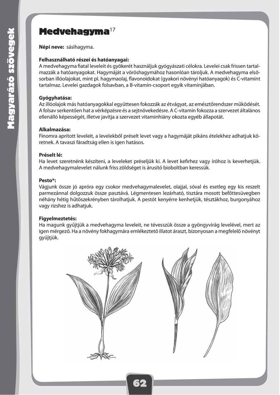 hagymaolaj, flavonoidokat (gyakori növényi hatóanyagok) és -vitamint tartalmaz. Levelei gazdagok folsavban, a -vitamin-csoport egyik vitaminjában.