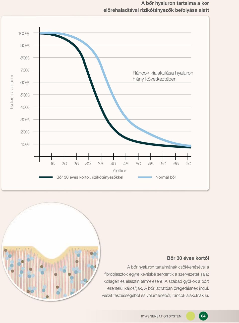 bőr Bőr 30 éves kortól A bőr hyaluron tartalmának csökkenésével a fibroblasztok egyre kevésbé serkentik a szervezetet saját kollagén és