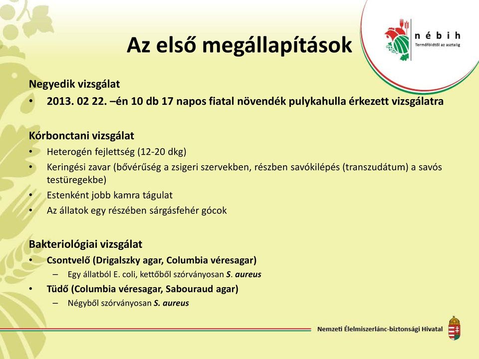 (bővérűség a zsigeri szervekben, részben savókilépés (transzudátum) a savós testüregekbe) Estenként jobb kamra tágulat Az állatok egy