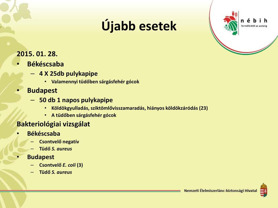 napos pulykapipe Köldökgyulladás, sziktömlővisszamaradás, hiányos köldökzáródás (23)
