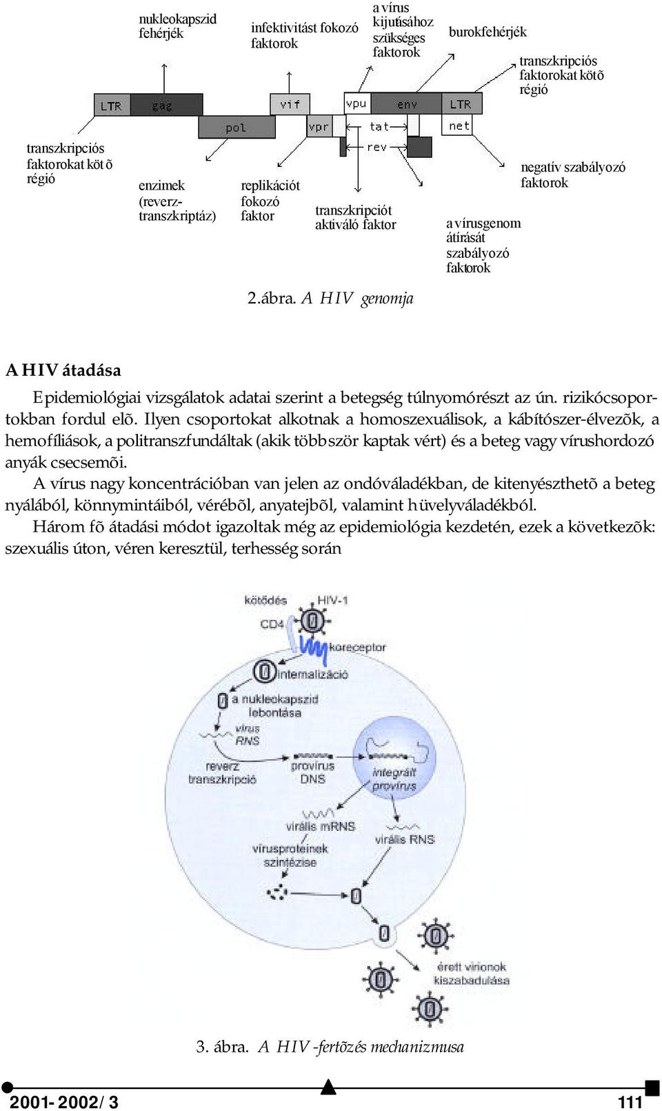 rizikócsoportokban fordul elõ.