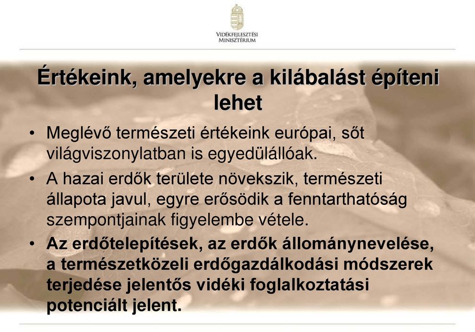 A hazai erdők területe növekszik, természeti állapota javul, egyre erősödik a fenntarthatóság