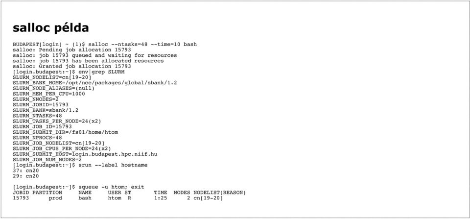 2 SLURM_NODE_ALIASES=(null) SLURM_MEM_PER_CPU=1000 SLURM_NNODES=2 SLURM_JOBID=15793 SLURM_BANK=sbank/1.