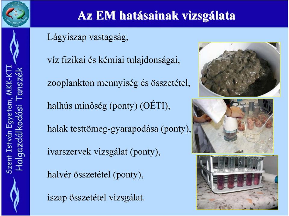 minőség (ponty) (OÉTI), halak testtömeg-gyarapodása (ponty),