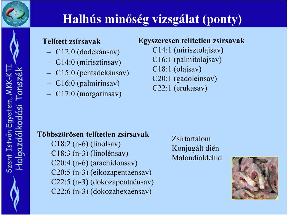 C20:1 (gadoleinsav) C22:1 (erukasav) Többszörösen telítetlen zsírsavak C18:2 (n-6) (linolsav) C18:3 (n-3) (linolénsav) C20:4 (n-6)