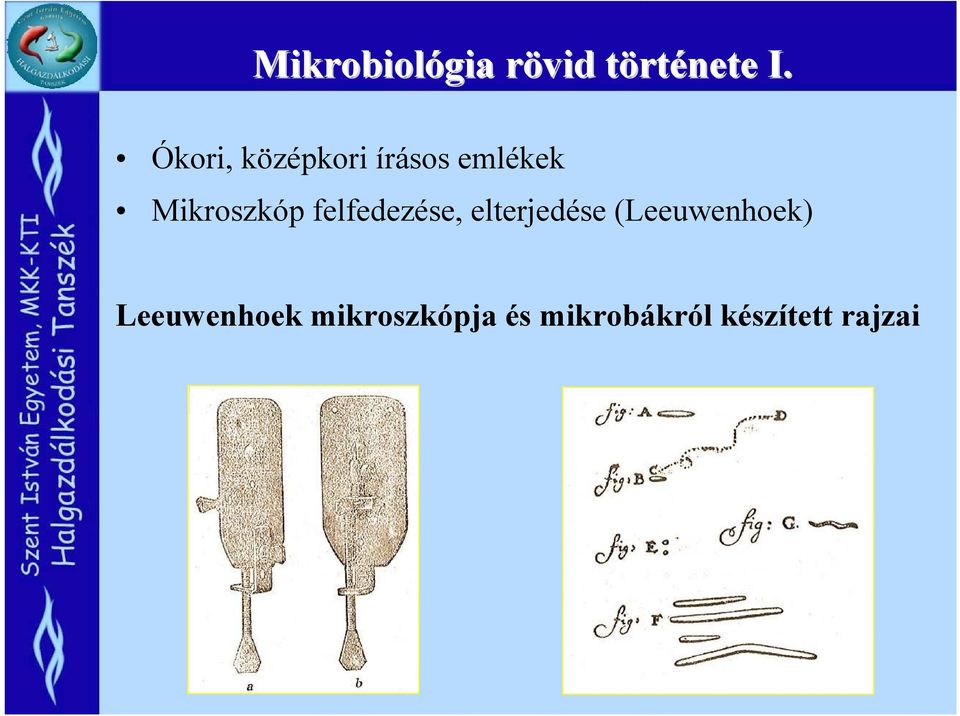 felfedezése, elterjedése (Leeuwenhoek)