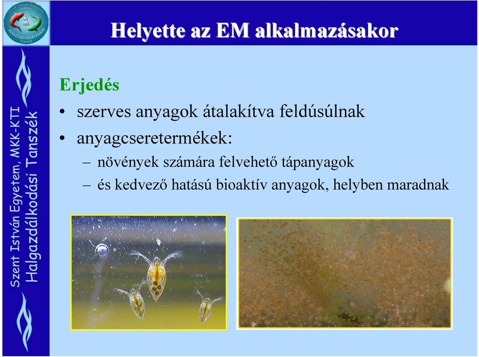 anyagcseretermékek: növények számára felvehető