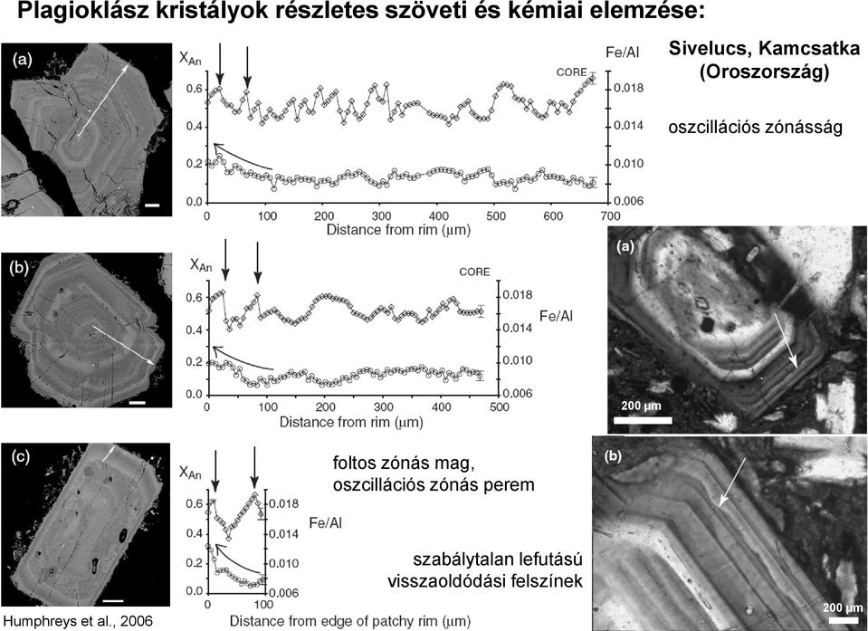 µm foltos zónás mag, oszcillációs zónás perem szabálytalan