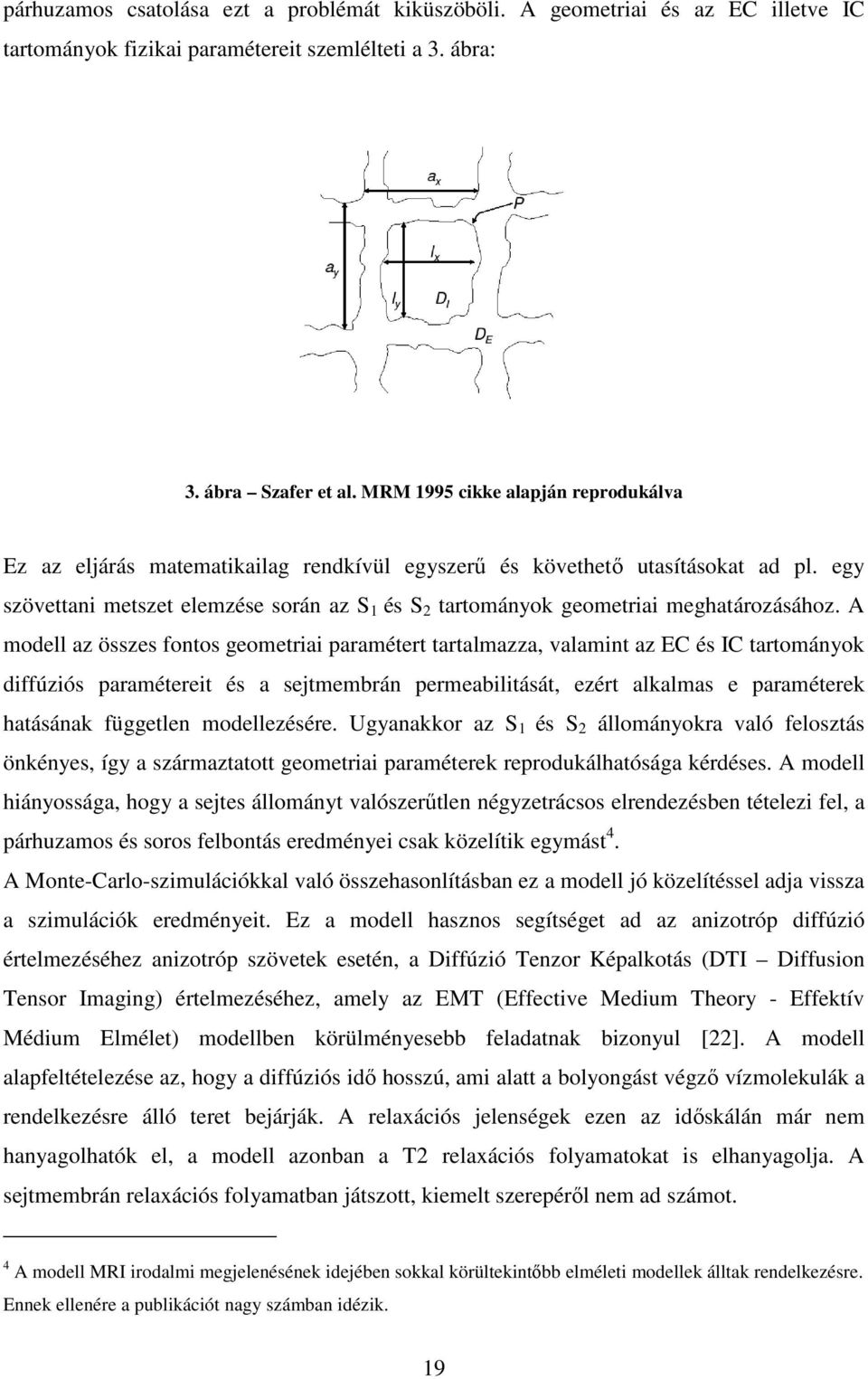 egy szövettani metszet elemzése során az S 1 és S 2 tartományok geometriai meghatározásához.