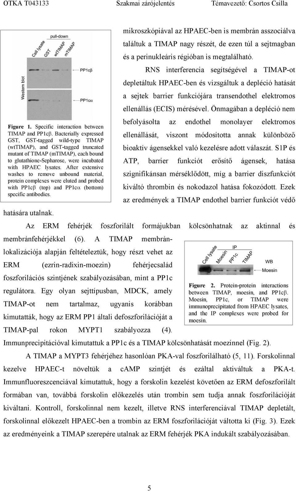 Önmagában a depléció nem befolyásolta Figure 1. Specific interaction between az endothel monolayer elektromos TIMAP and PP1cβ.