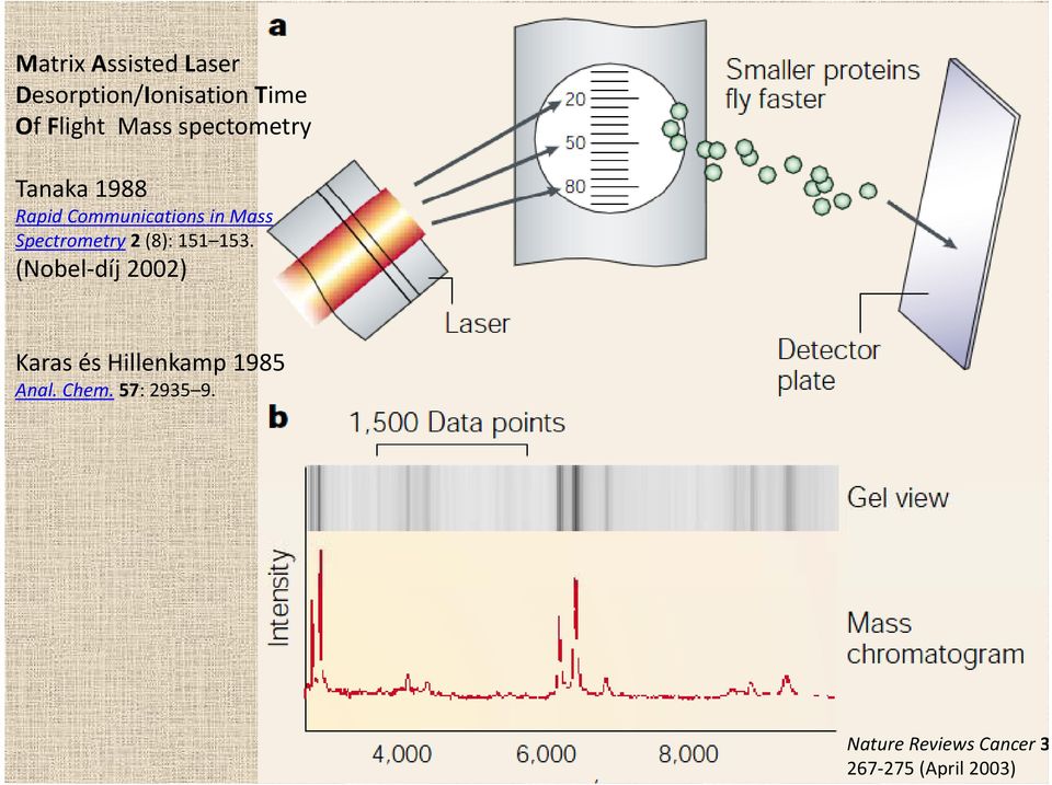 Spectrometry 2 (8): 151 153.