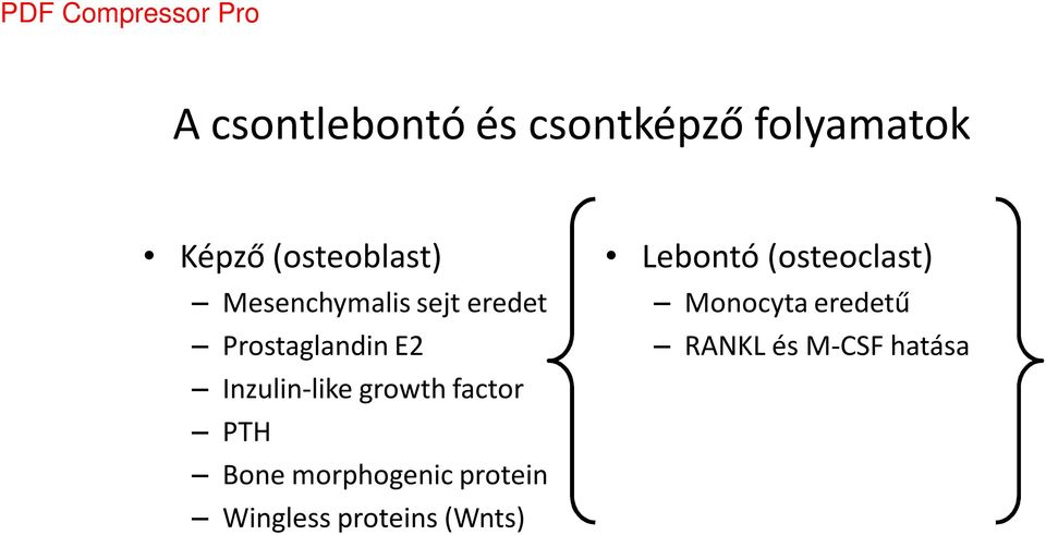 growth factor PTH Bone morphogenic protein Wingless proteins