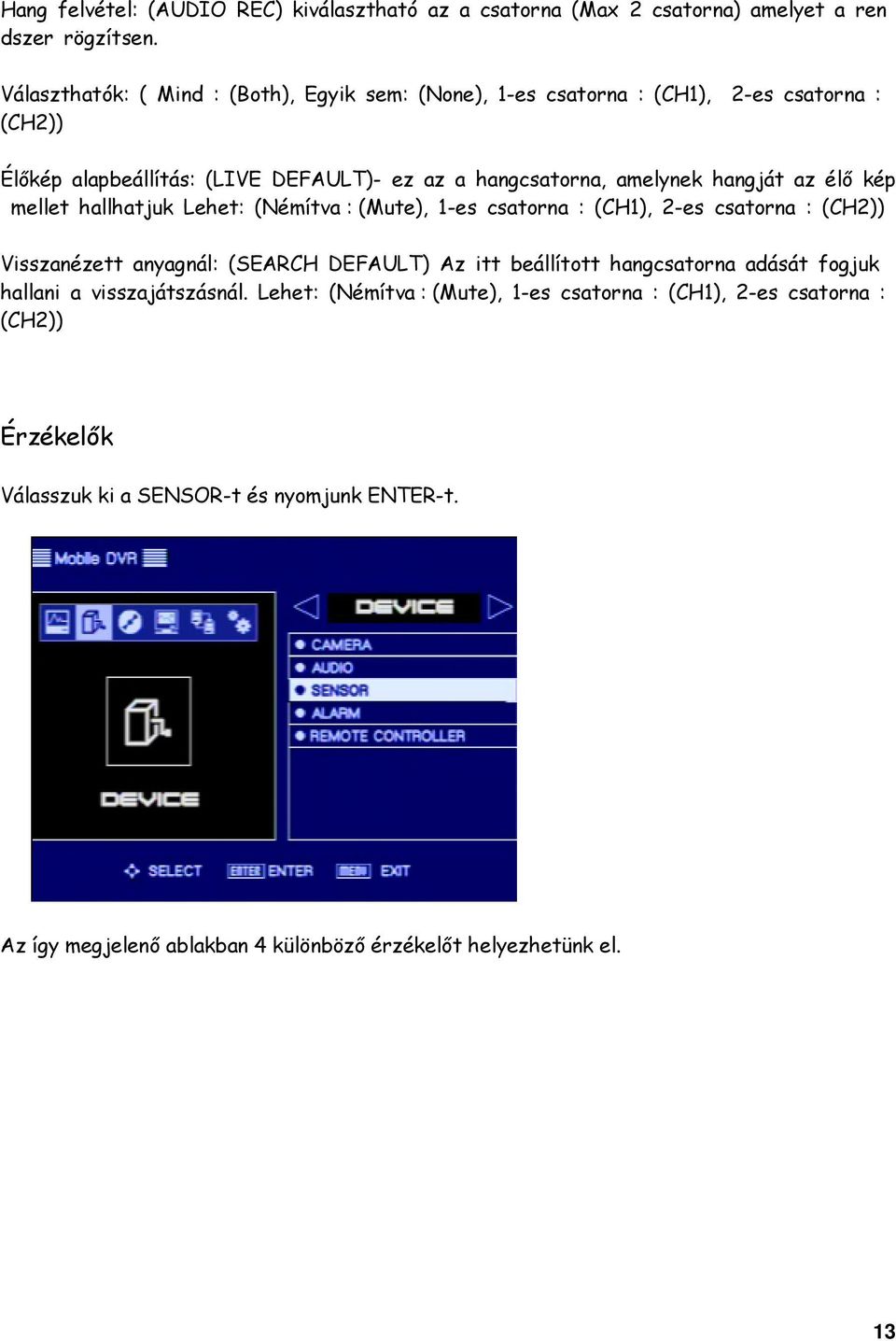 hangját az élő kép mellet hallhatjuk Lehet: (Némítva : (Mute), 1-es csatorna : (CH1), 2-es csatorna : (CH2)) Visszanézett anyagnál: (SEARCH DEFAULT) Az itt beállított