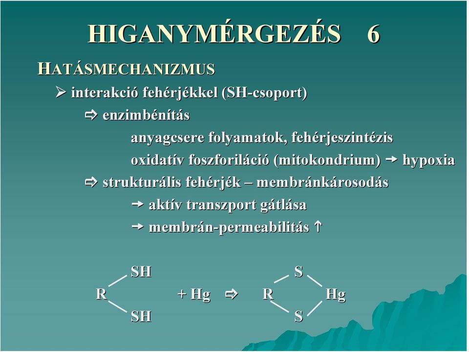 foszforiláci ció (mitokondrium) hypoxia strukturális fehérj rjék membránk