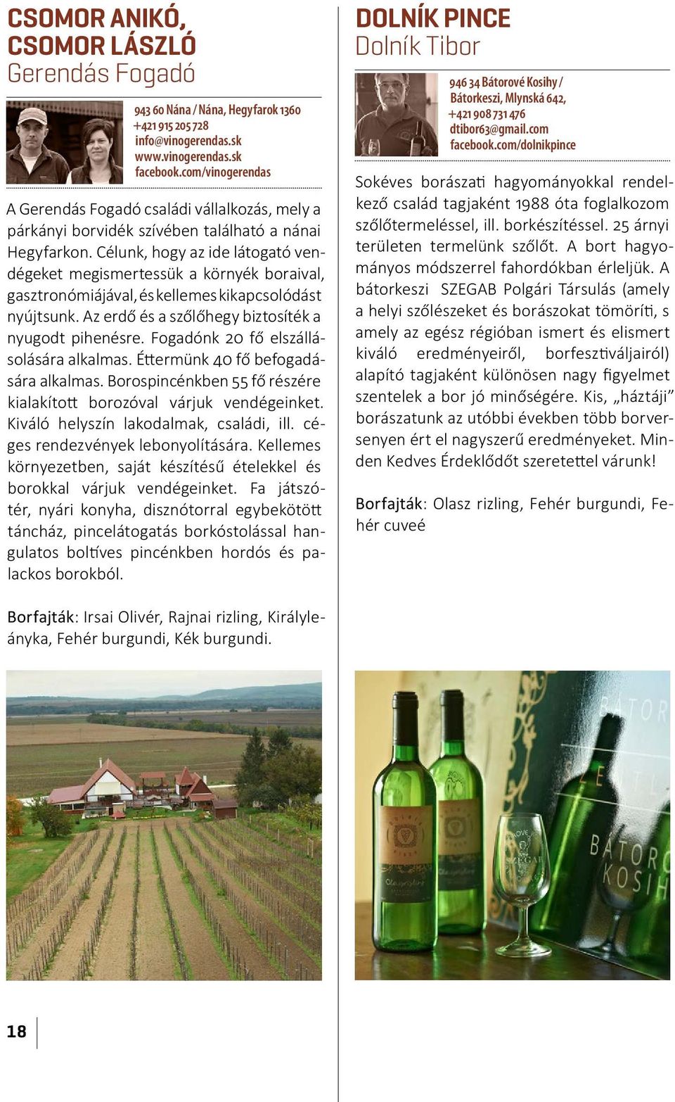 Célunk, hogy az ide látogató vendégeket megismertessük a környék boraival, gasztronómiájával, és kellemes kikapcsolódást nyújtsunk. Az erdő és a szőlőhegy biztosíték a nyugodt pihenésre.