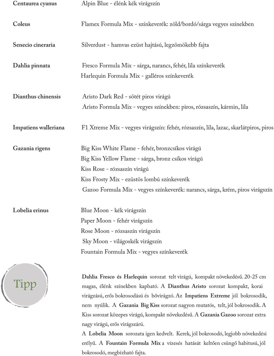 vegyes színekben: piros, rózsaszín, kármin, lila Impatiens walleriana F1 Xtreme Mix - vegyes virágszín: fehér, rózsaszín, lila, lazac, skarlátpiros, piros Gazania rigens Big Kiss White Flame - fehér,