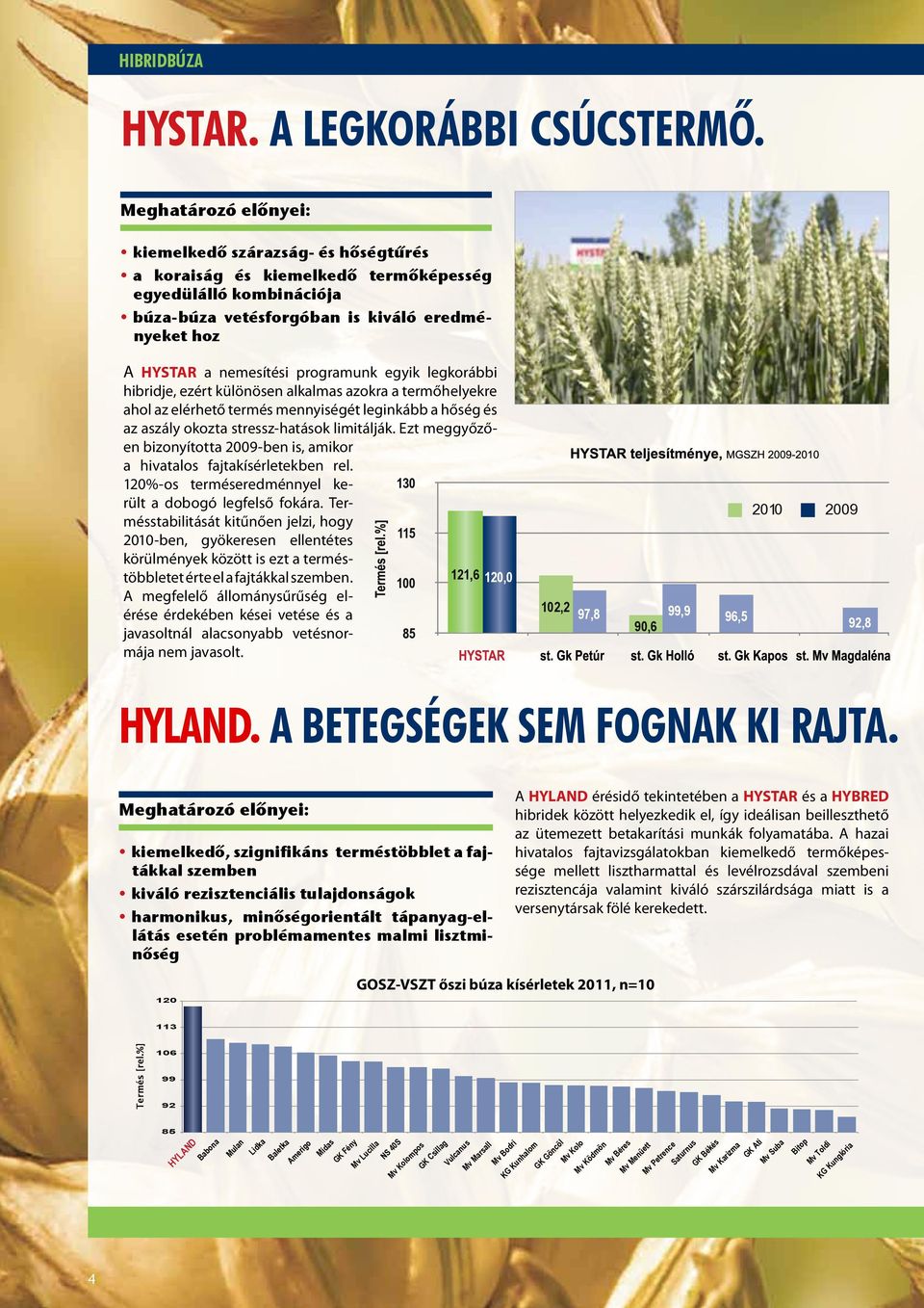 hibridje, ezért különösen alkalmas azokra a termőhelyekre ahol az elérhető termés mennyiségét leginkább a hőség és az aszály okozta stressz-hatások limitálják.