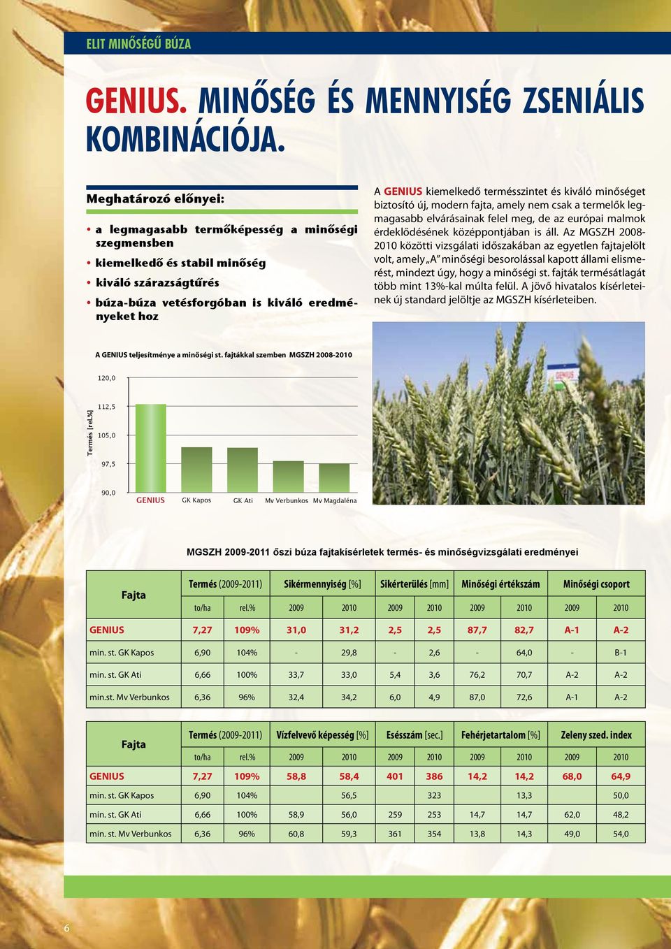 modern fajta, amely nem csak a termelők legabb elvárásainak felel meg, de az európai malmok érdeklődésének középpontjában is áll.