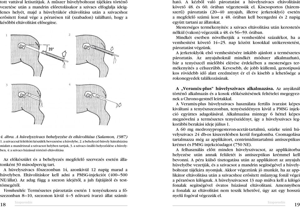 JUHTENYÉSZTÉSI ALAPISMERETEK II. KÖTET. Sz a p o r o d á s ÍRTA MUCSI IMRE  TUDÁS ALAPÍTVÁNY HÓDMEZŐVÁSÁRHELY Szaporodás. - PDF Ingyenes letöltés